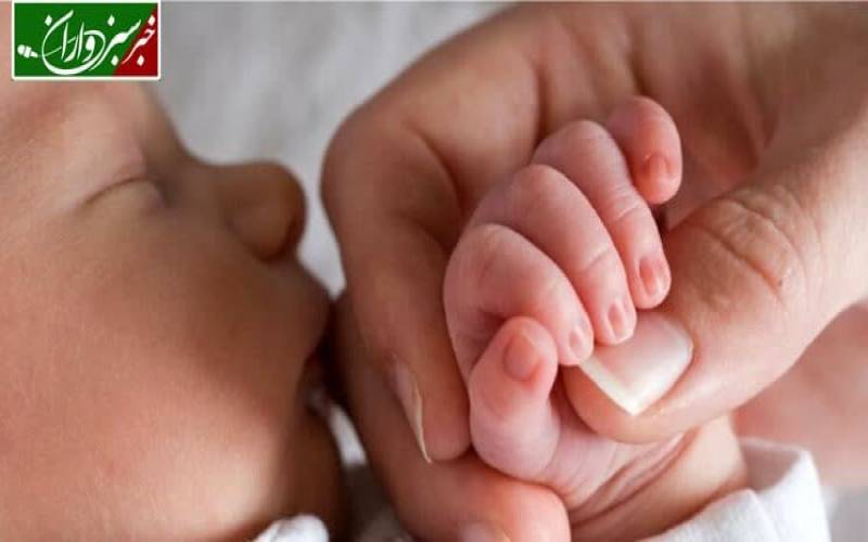 زادو ولد ها در کرمان افزایش یافت